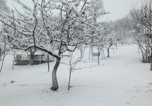 Naxçıvanda qar örtüyünün hündürlüyü 3 sm olub