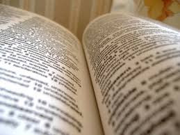 Akademikdən təklif: Ayda bir dəfə mətbuata yeni daxil olan sözlərin siyahısı tərtib oluna bilər