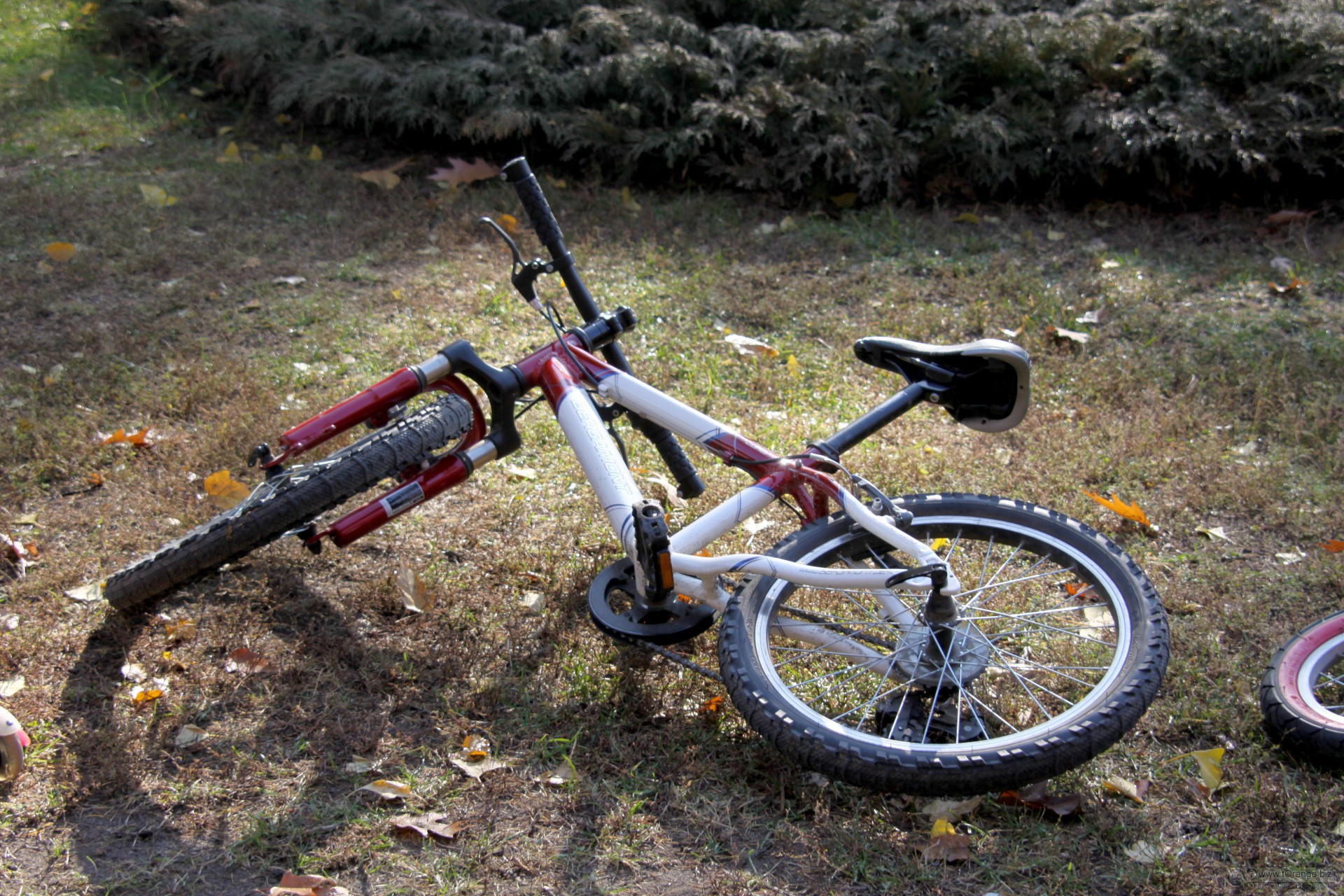 9 yaşlı uşaq velosipeddən yıxılaraq ölüb