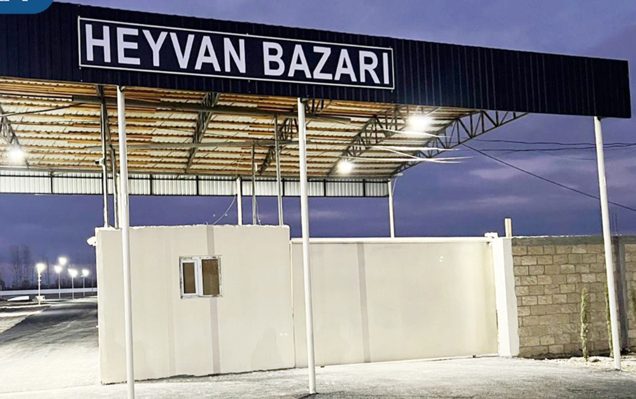Bərdə heyvan bazarı yenidən açıldı