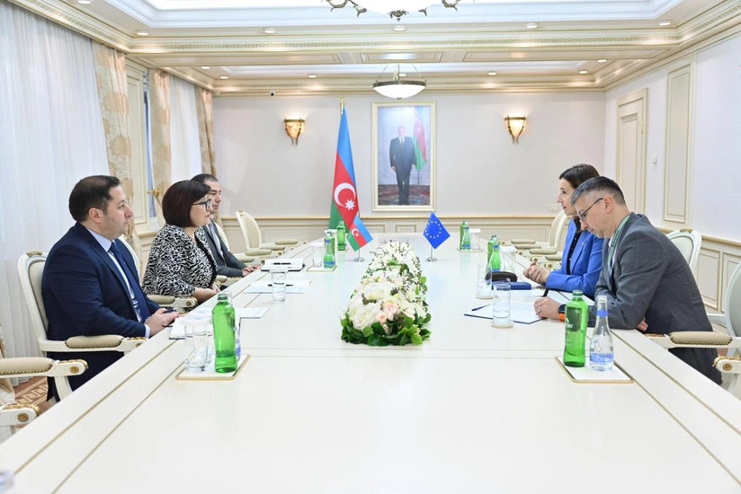 Sahibə Qafarova Aİ nümayəndəliyinin rəhbəri ilə görüşüb