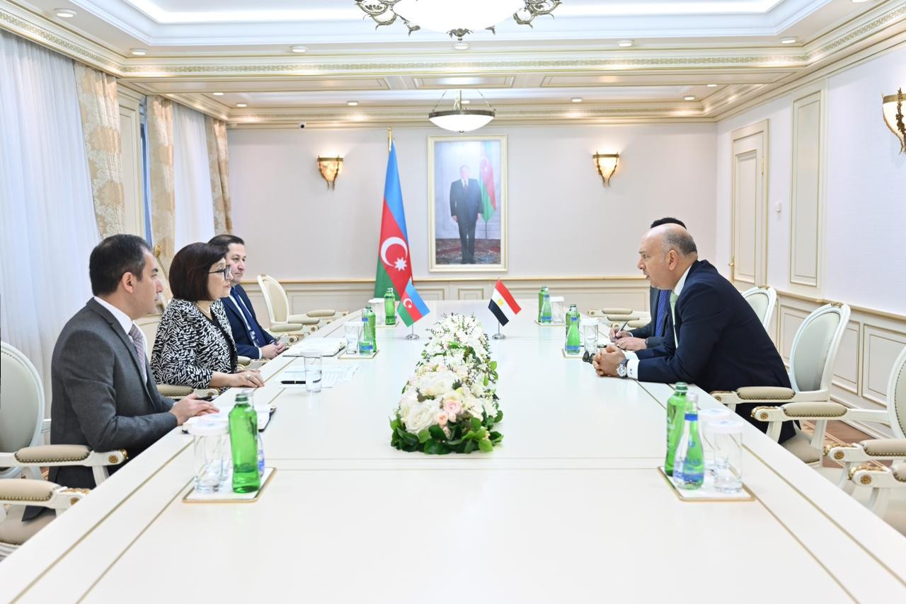 Azərbaycan-Misir parlamentlərarası əlaqələri müzakirə olunub