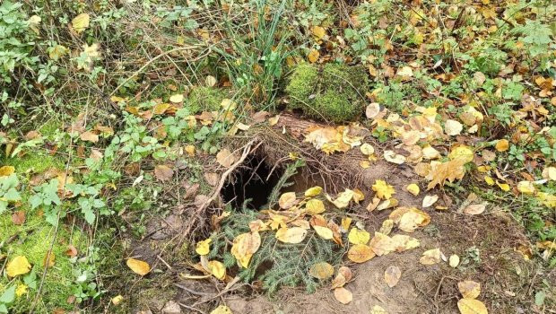 İranın gizli tunel şəbəkəsi ifşa olundu