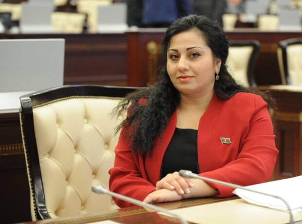 Aktau faciəsi ilə bağlı həqiqətin araşdırılmasını tələb etməliyik -