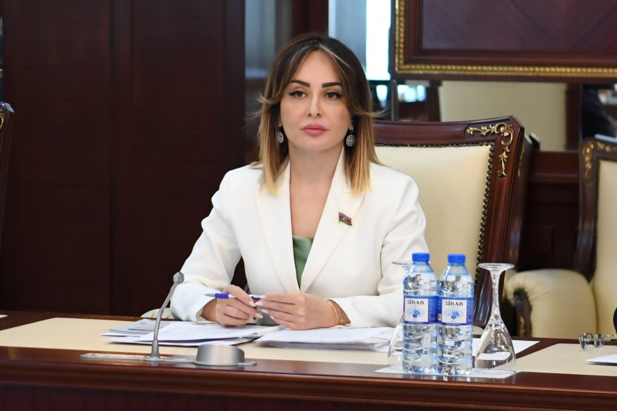 Vətənpərvər gənclik güclü dövlətin və davamlı gələcəyin təminatıdır