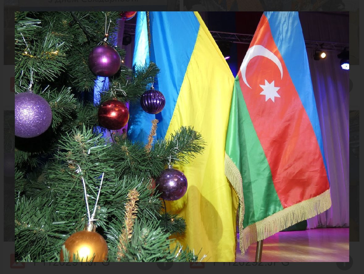 Ukraynadakı soydaşlarımız Həmrəylik Günündə bir araya gəliblər