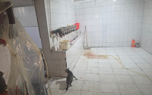 Qanunsuz fəaliyyət göstərən quş kəsimi sexi aşkarlandı