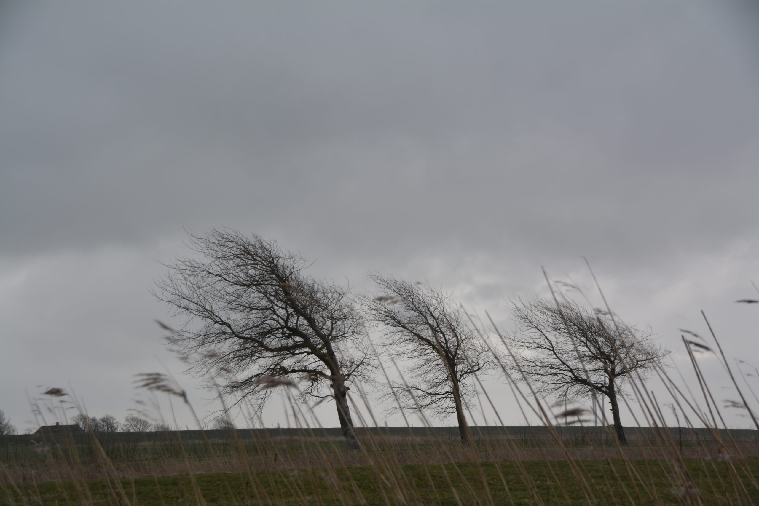 Sabahkı hava şəraiti ilə bağlı xəbərdarlıq edilib