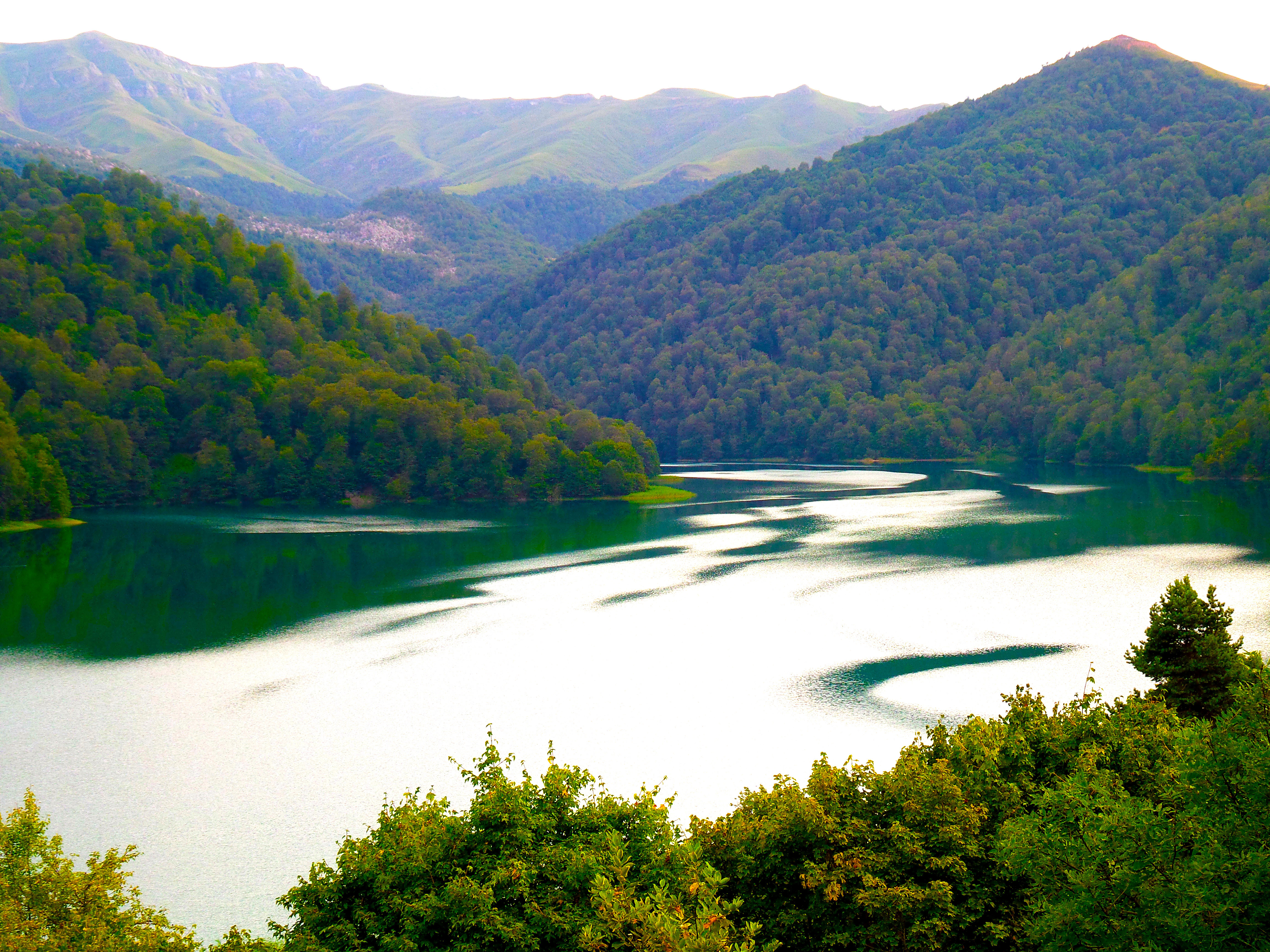 Qoruqlar və Milli parklar günü