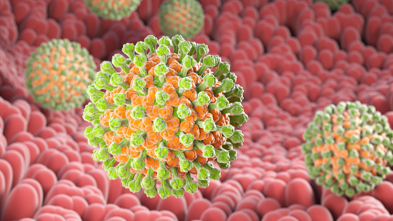 Azərbaycanda yeni virus yayılıb? -