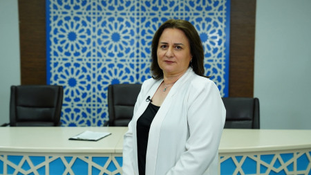 Mediada Azərbaycan dilinin normaları: