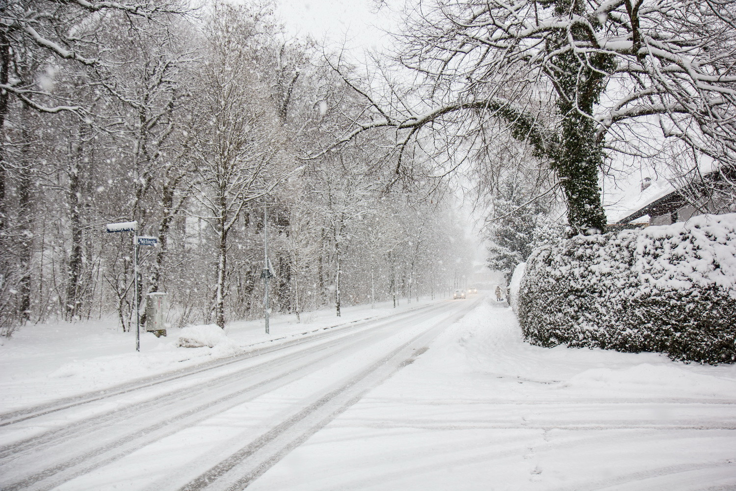 Bəzi yerlərə qar yağır -