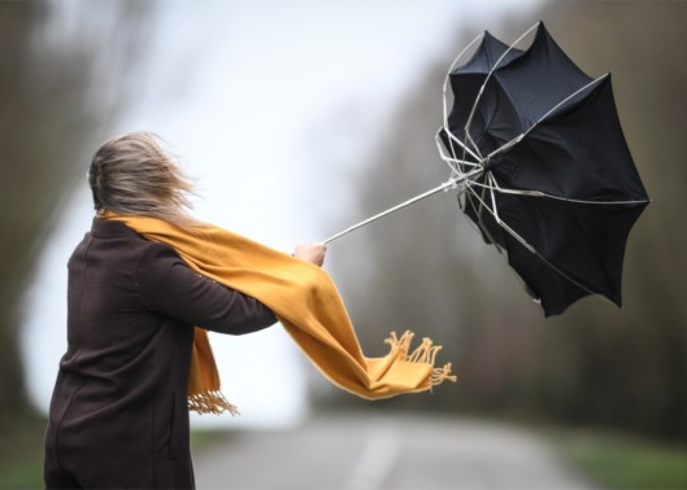 Küləkli hava şəraiti ilə bağlı: