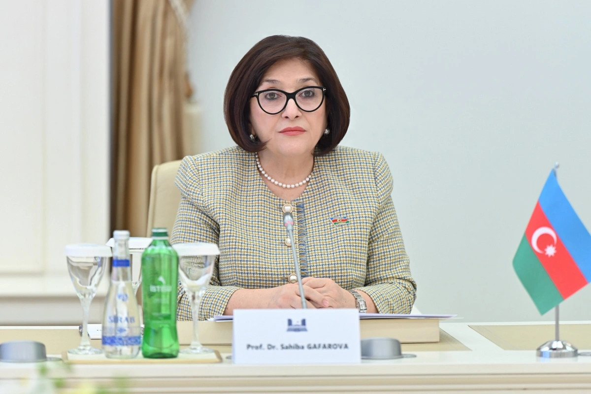 Milli Məclislə NATO PA arasında gələcək əməkdaşlıq perspektivləri müzakirə edilib