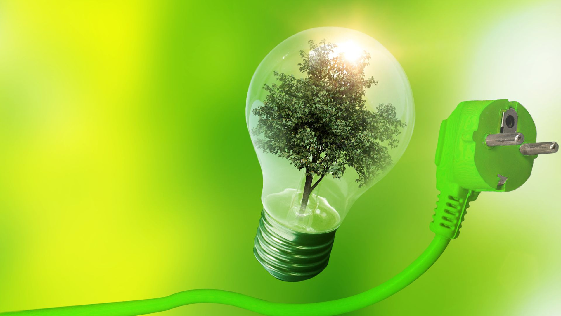 MM-də Beynəlxalq Təmiz Enerji gününə həsr olunan tədbir keçiriləcək