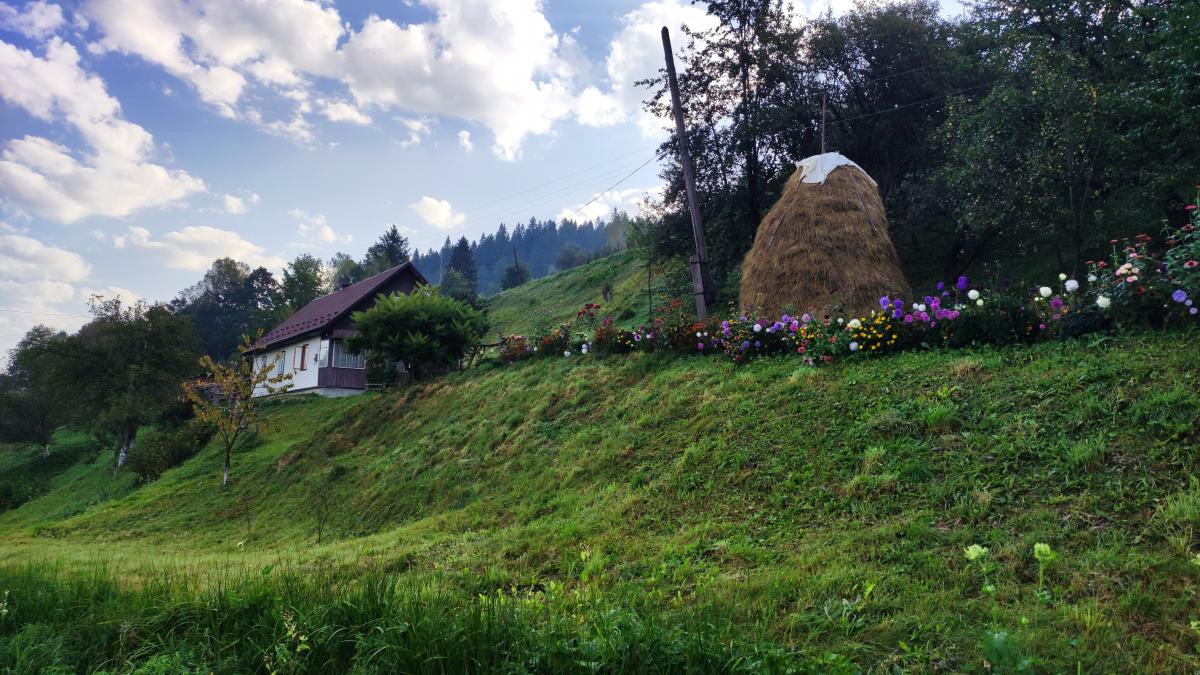 Müharibənin kölgəsində turizm: