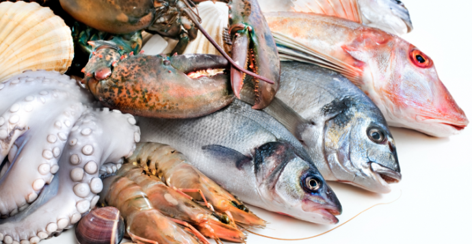 Azərbaycandan Böyük Britaniyaya balıq məhsulları ixrac ediləcək