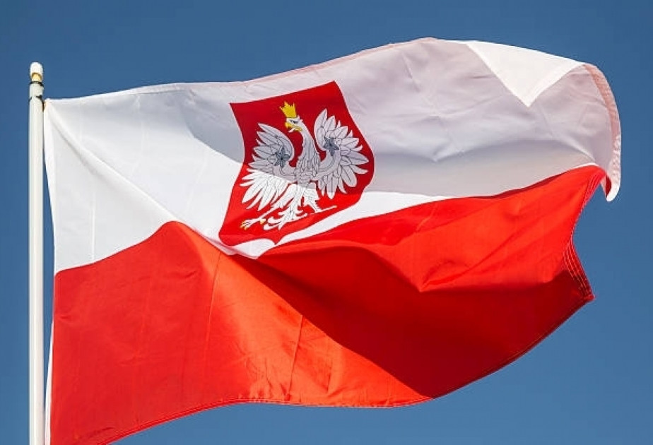 Polşa Epşteyn işi ilə bağlı hökumət komissiyası yaradıb