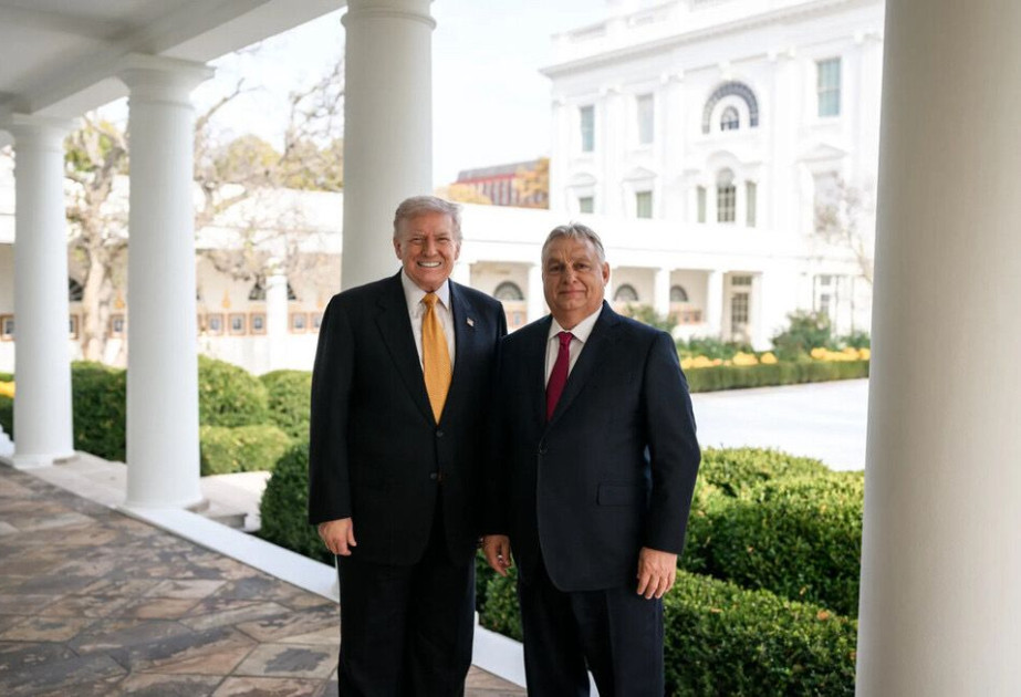 Tramp  Macarıstandakı seçkilərdə Orbanı dəstəkləyib