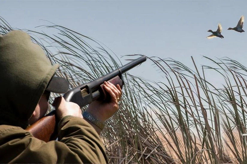 Azərbaycanda yeni yaradılan hər iki milli parkda ova icazə veriləcək