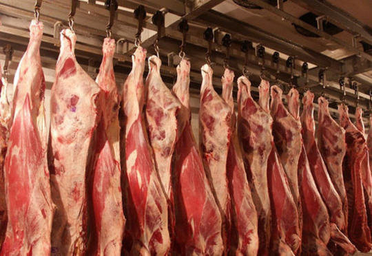 Qanunsuz ət kəsmək istəyən şəxslərə qarşı əməliyyat keçirildi