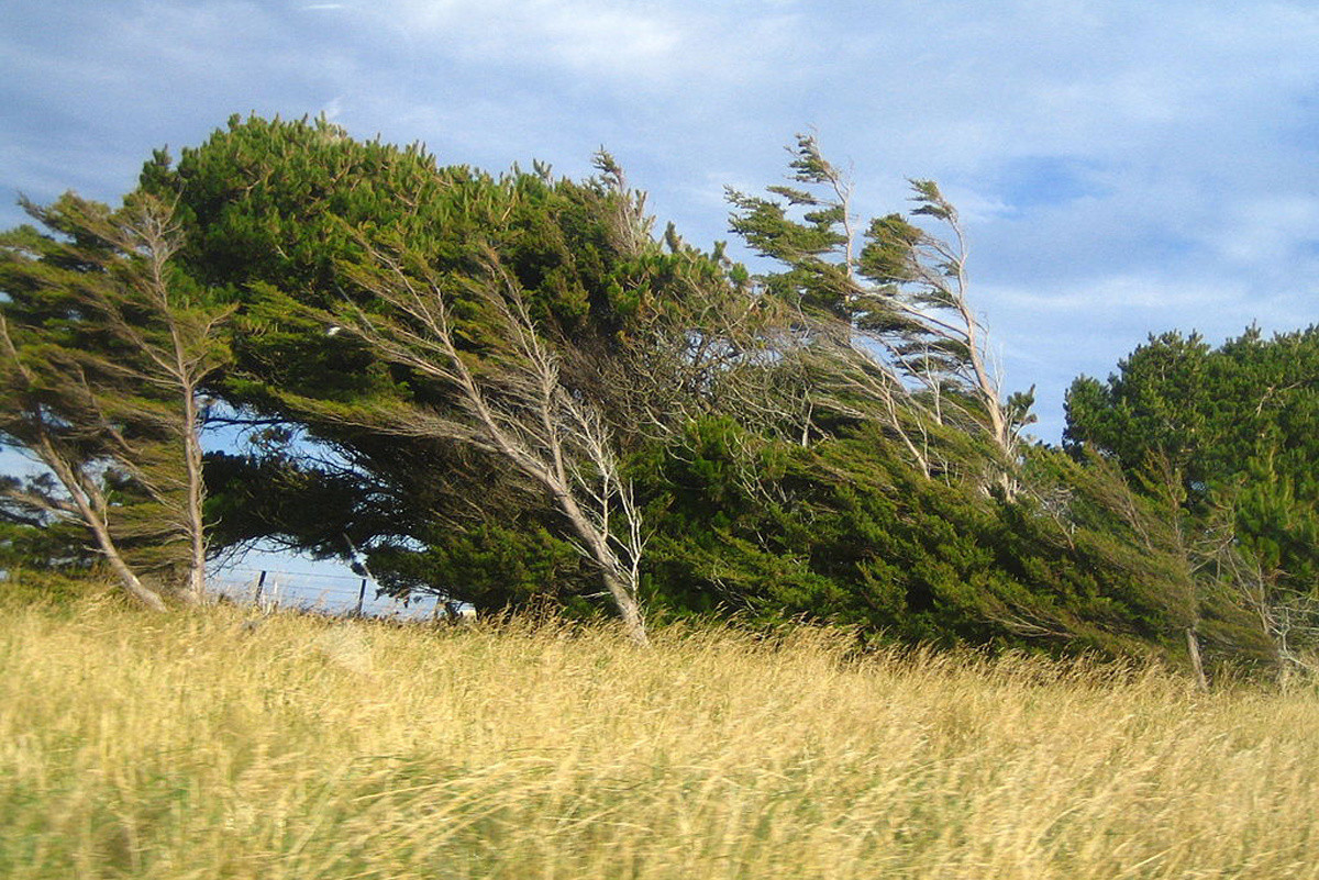 Fevralın 8-9-u ilə bağlı əhaliyə