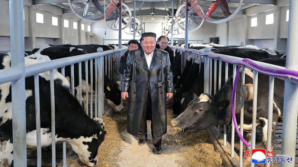 Kim Çen İn kənd təsərrüfatındakı vəziyyəti tənqid etdi