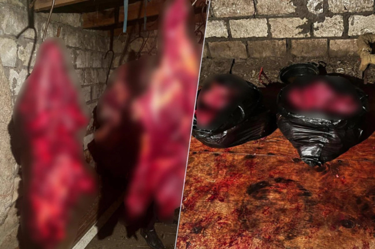 Tərtərdə 150 kiloqram yararsız at əti satışa çıxarılıb