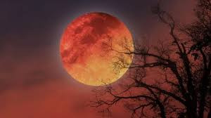 Gələcək illərdə ayda  yaşayış və infrastruktur layihələri yaradıla bilər