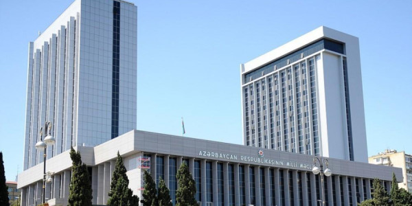 Tanınmışlar deputat olsa idilər nə edərdilər?: Bu Milli Məclisdə...