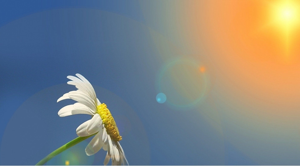 Sabah 20 dərəcə isti olacaq