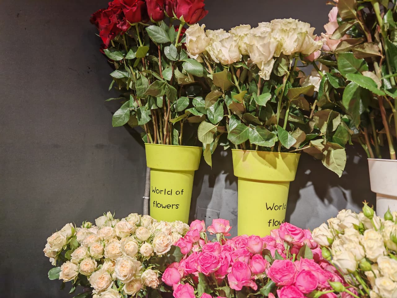 Qadın üzündə təbəssüm yaradan vasitənin ünvanı: Bazarda qiymətlər necədir?