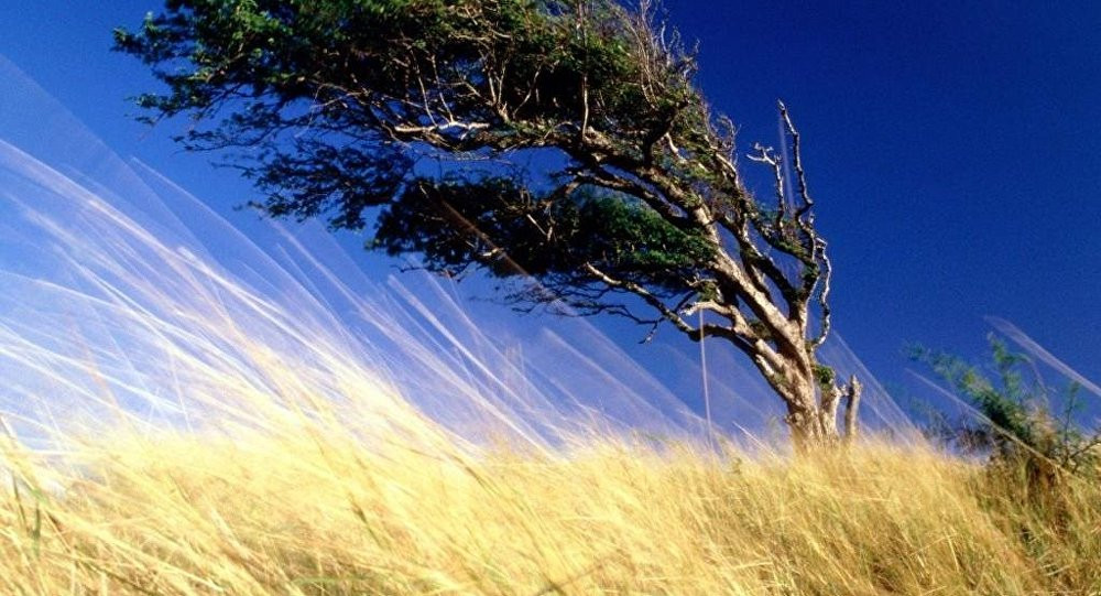 Əhaliyə XƏBƏRDARLIQ: