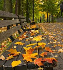 Özünü iyun kimi göstərən mart: Fəsillər dəyişir?
