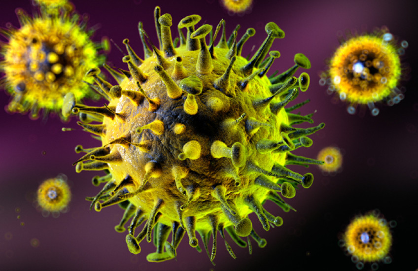 Azərbaycanla sərhəddə dəhşətli xəstəlik yayılıb: Nə vaksini var, nə də...