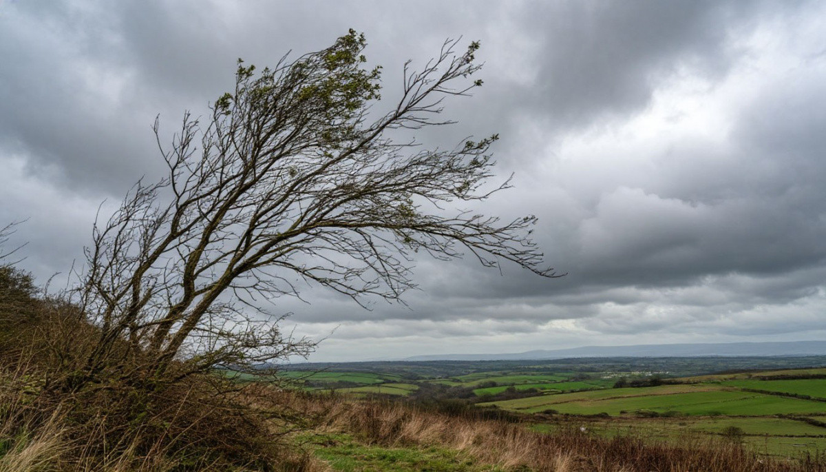 Küləkli hava şəraiti ilə bağlı