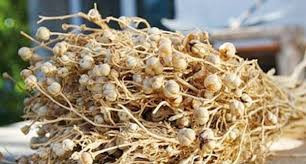 Üzərliyin bilinməyən tərəfləri