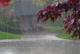 Sabah bəzi yerlərdə yağış yağacaq