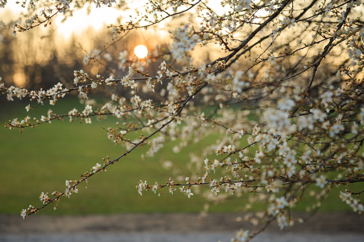 Mart ayında hava necə keçəcək?