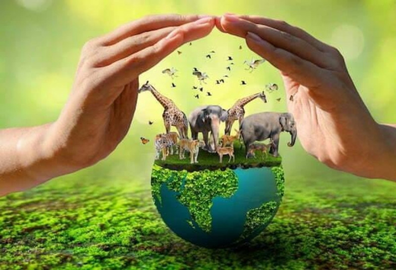 Bir zəncir qırılarsa? -