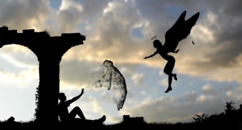 Heyvanlarınruhu ilə insanların ruhu arasında nə fərq var?