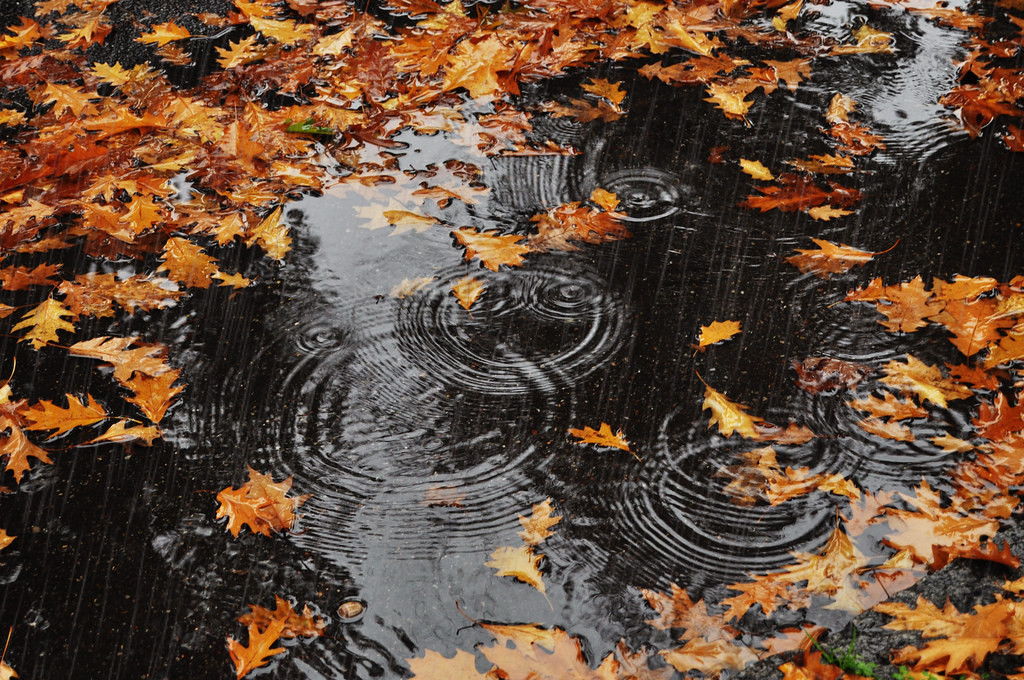 Bəzi yerlərdə yağıntı intensivləşəcək - XƏBƏRDARLIQ