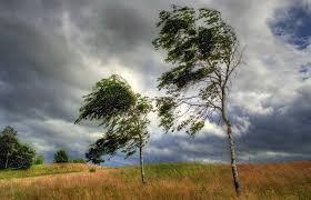 Küləkli hava şəraiti ilə bağlı sarı xəbərdarlıq verilib