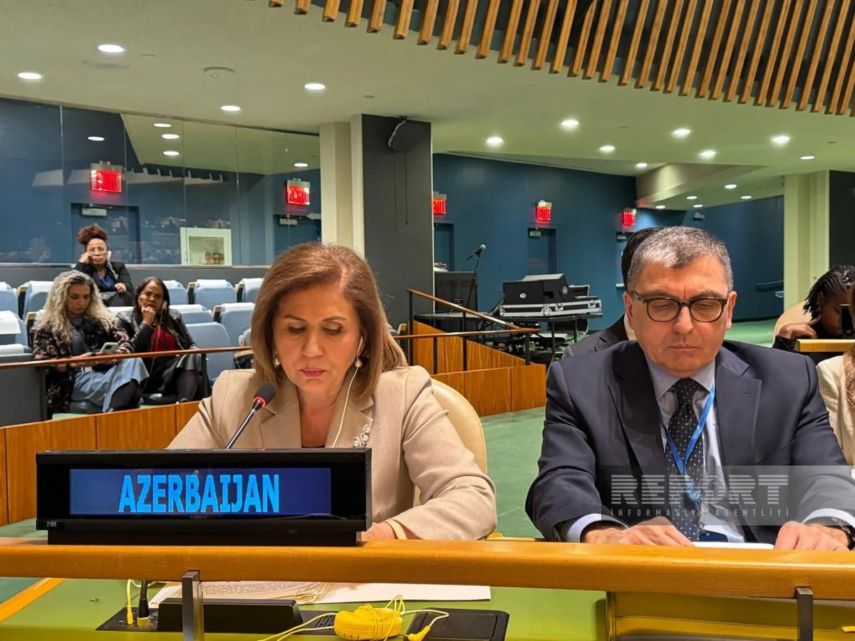 Bahar Muradova BMT-də Türk Dövlətləri Təşkilatı adından çıxış edib