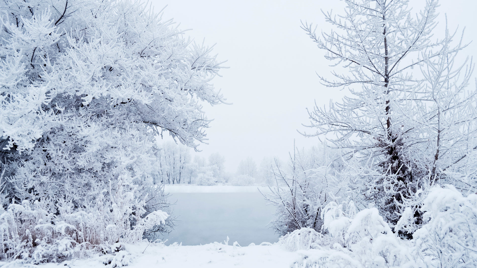 Qarın hündürlüyü 41 sm-ə çatıb