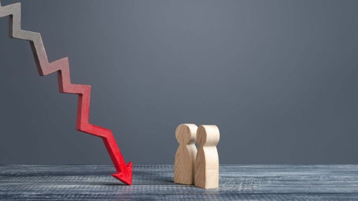 İqtisadi əməkdaşlıq modeli