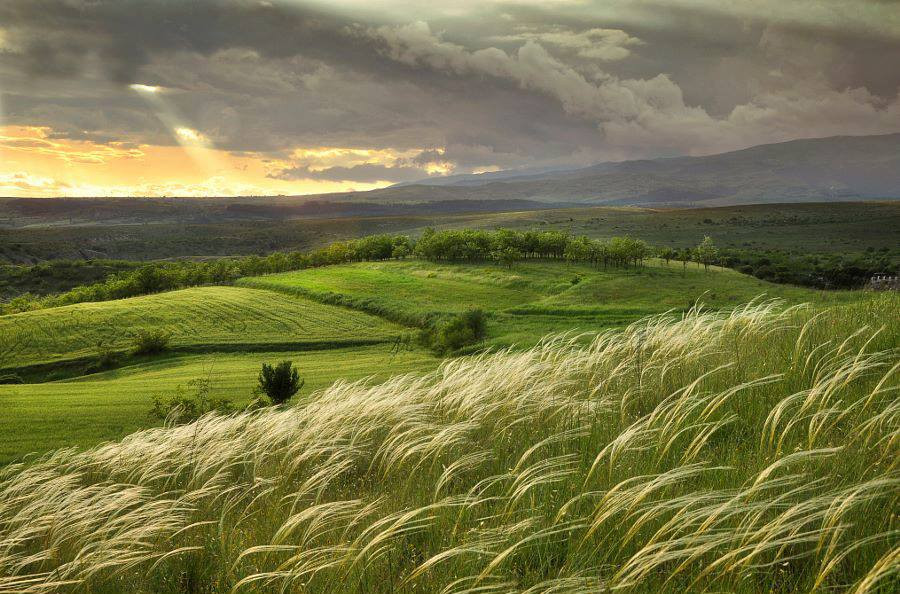 Yel çərşənbəsi nəyi simvolizə edir? -