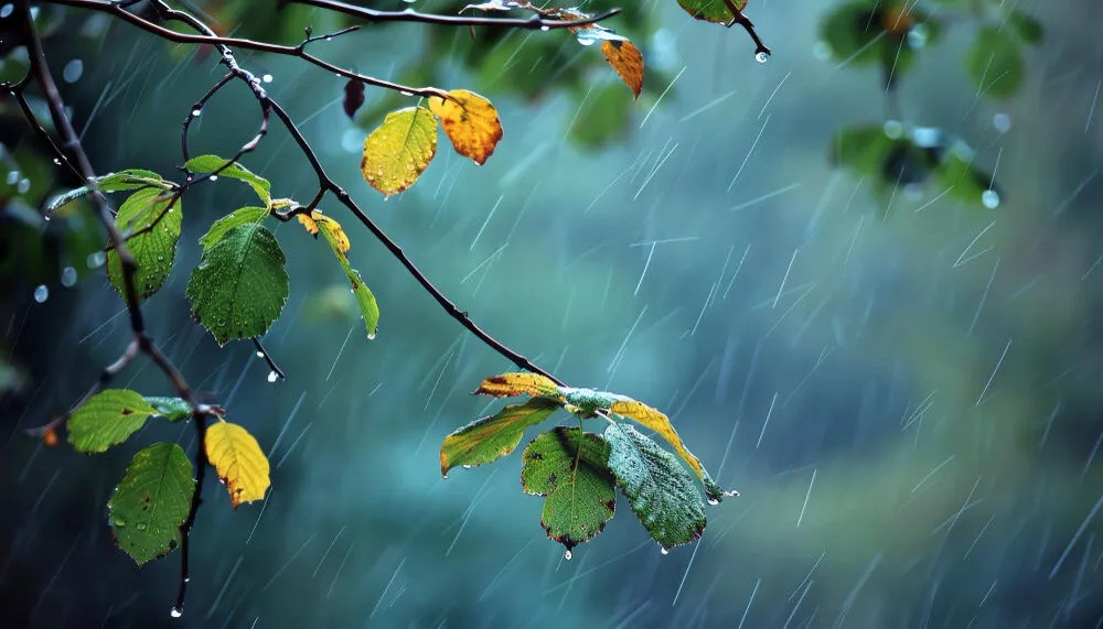 Yağış yağacaq, şimşək çaxacaq -