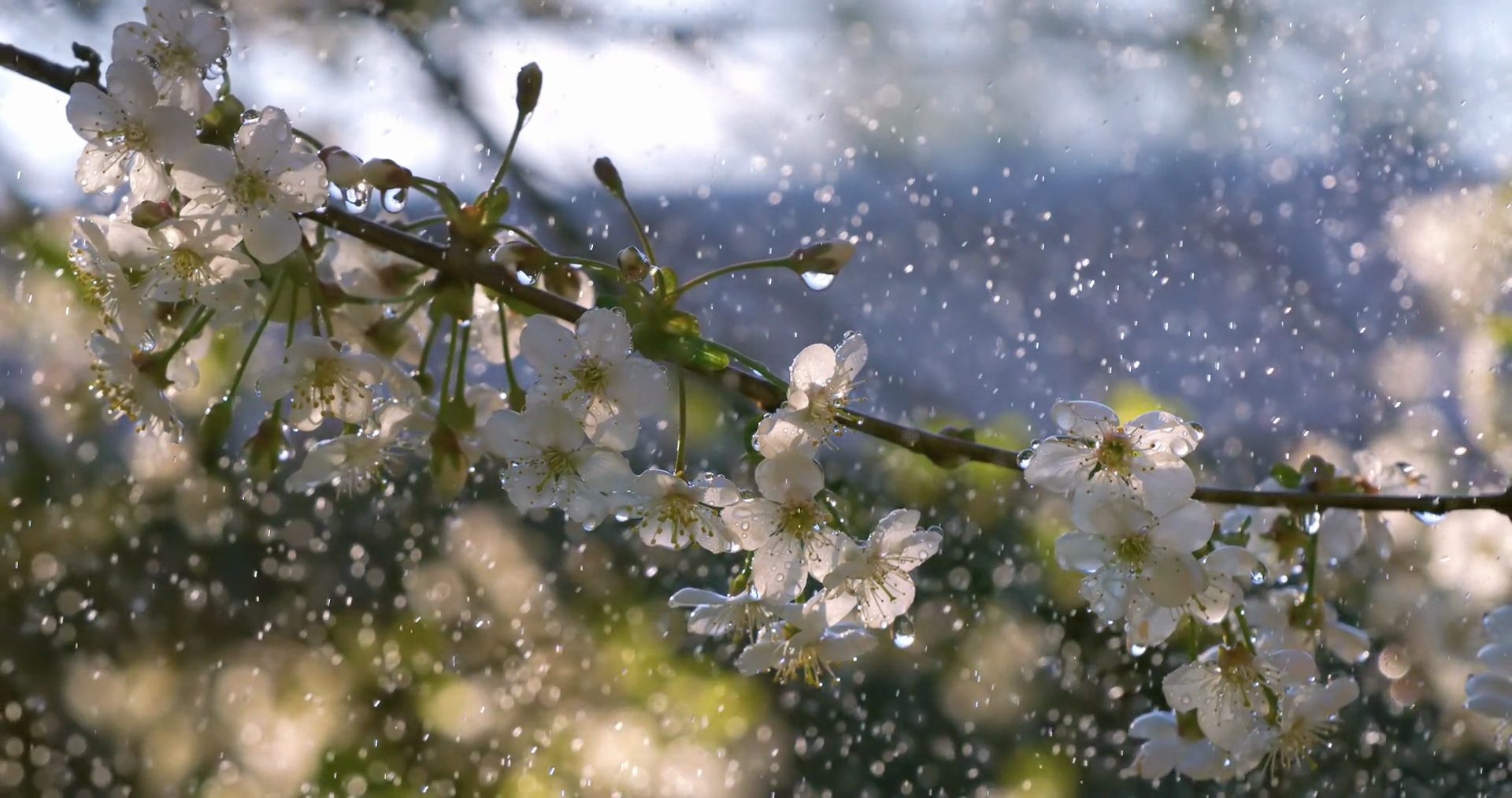 Sabah hava yağıntılı olacaq