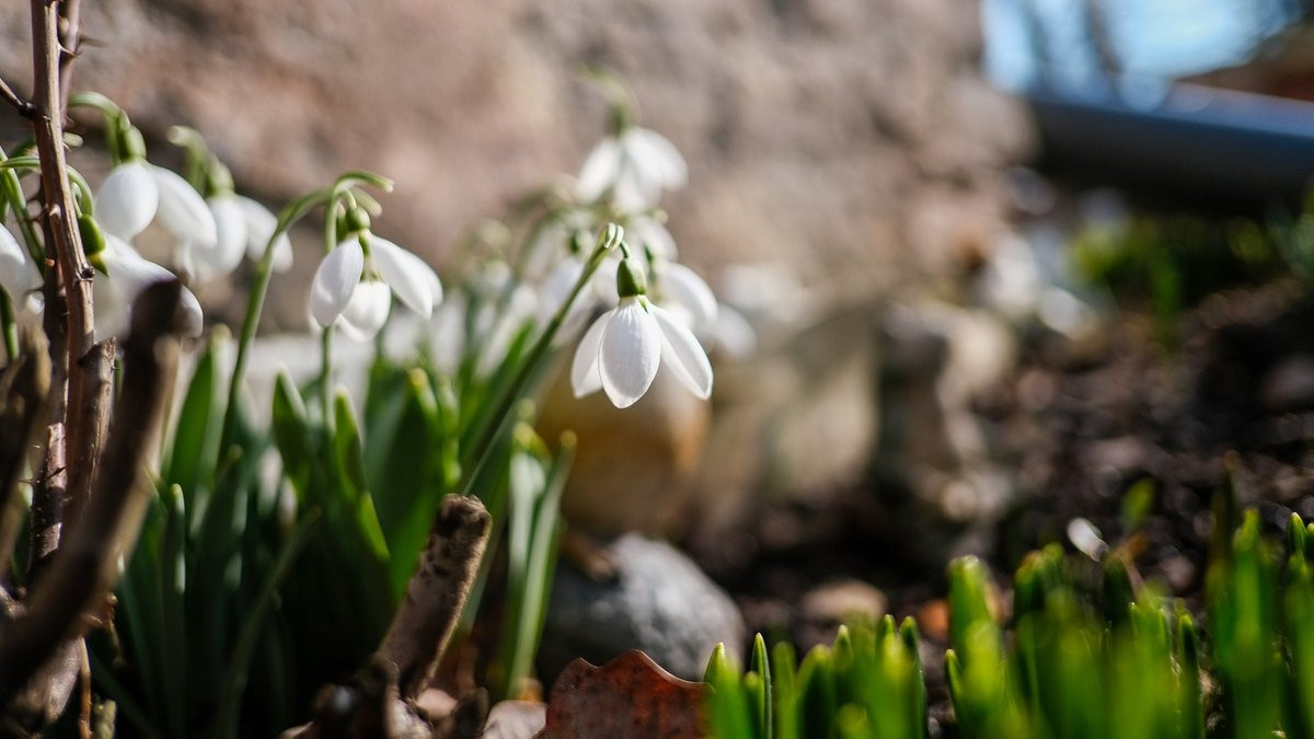 Bayram günlərində hava necə keçəcək?